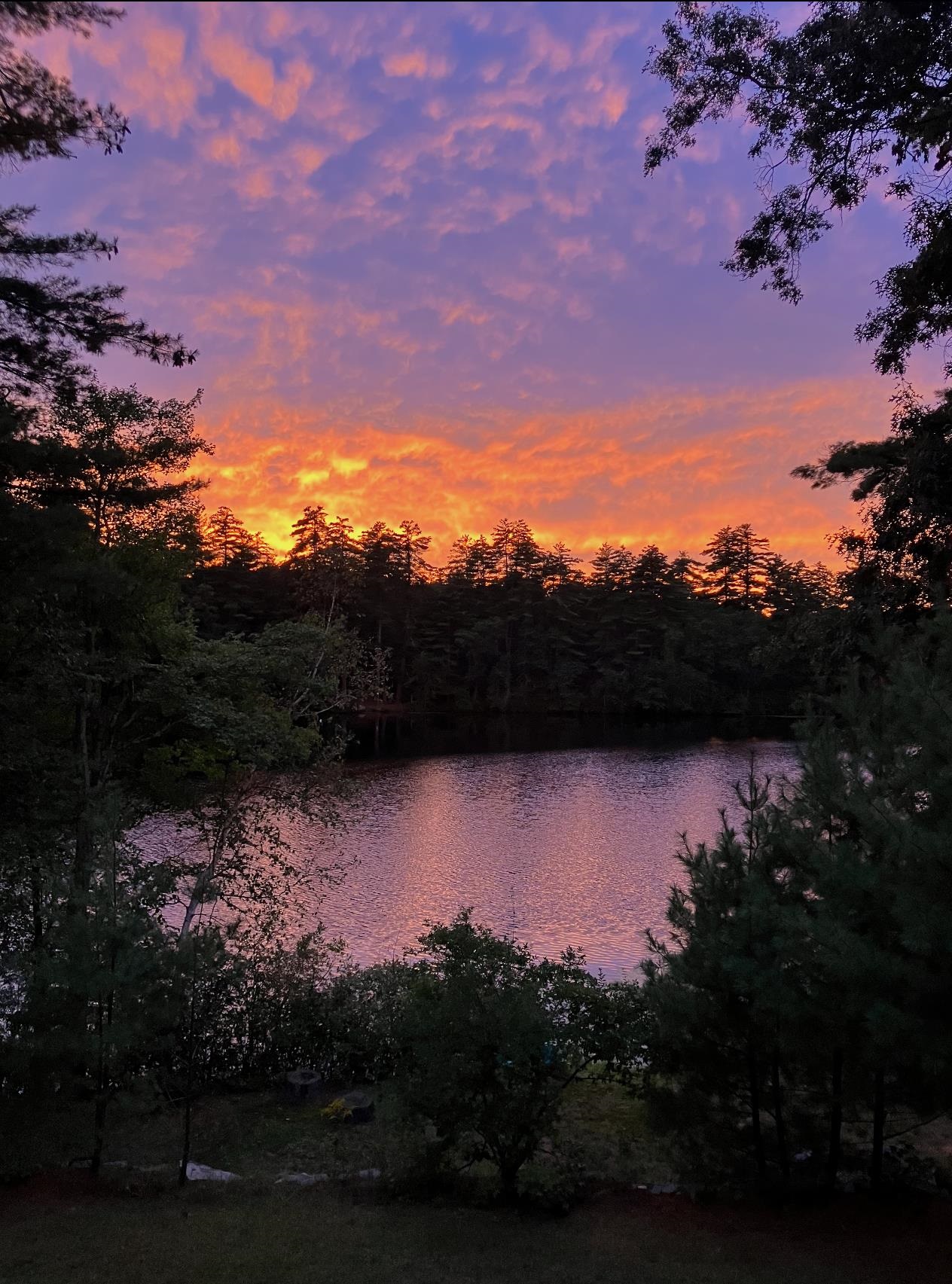 91 Sebbins Pond Drive