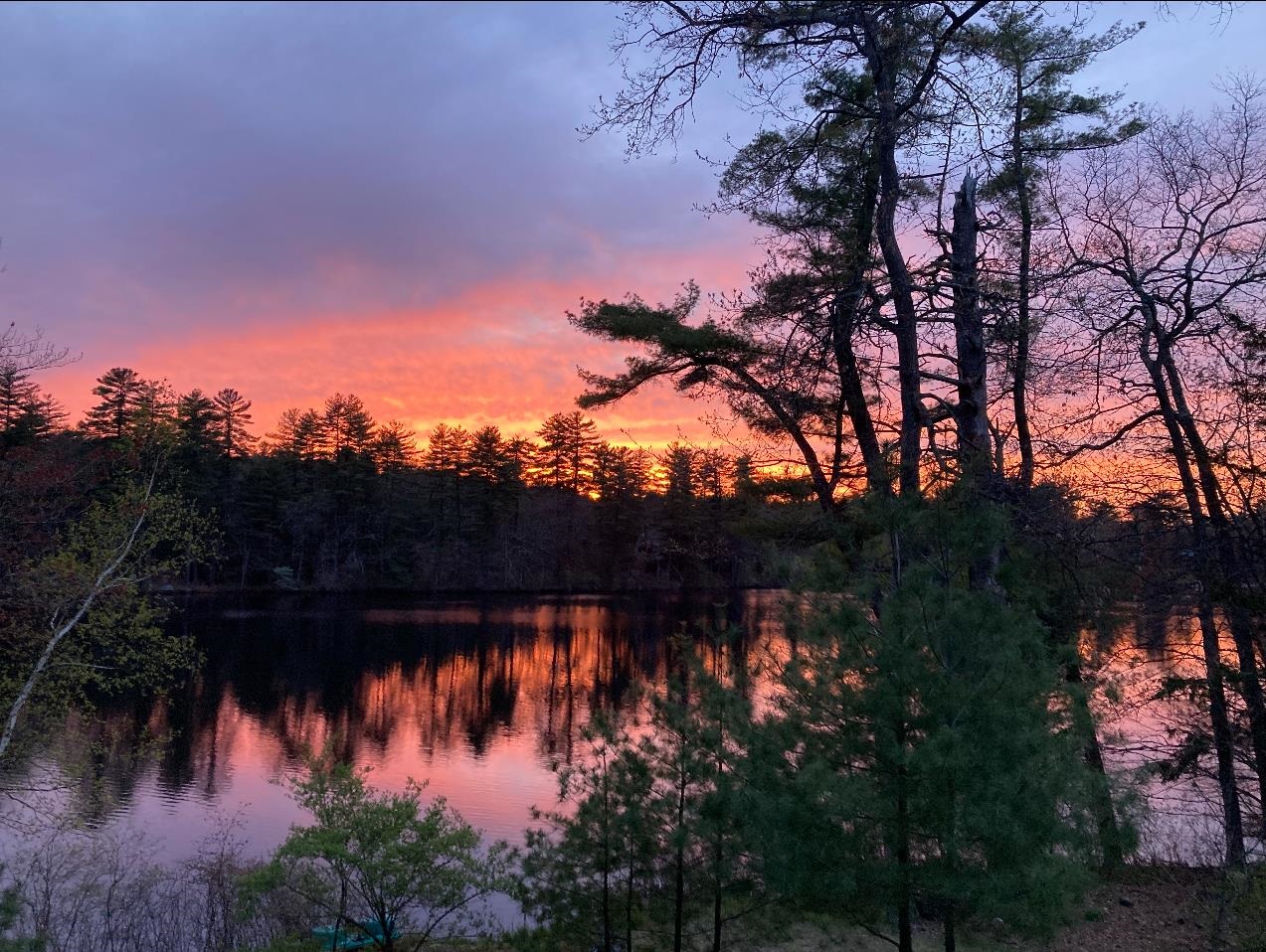 91 Sebbins Pond Drive