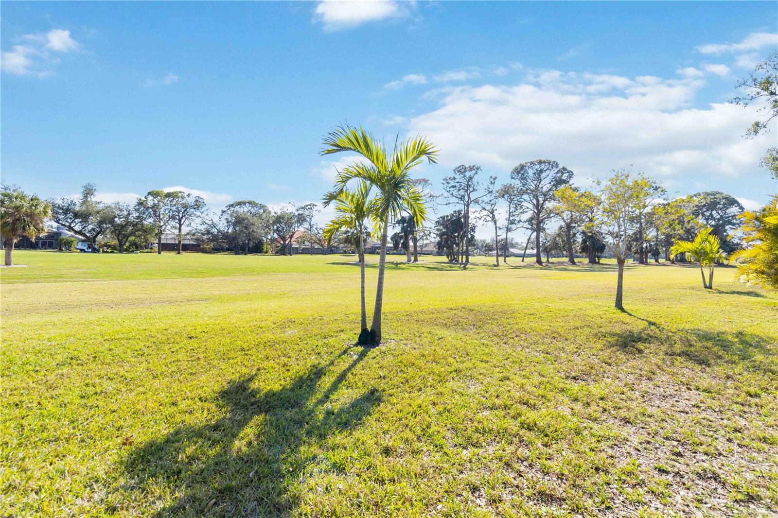 3876 TORREY PINES BLVD