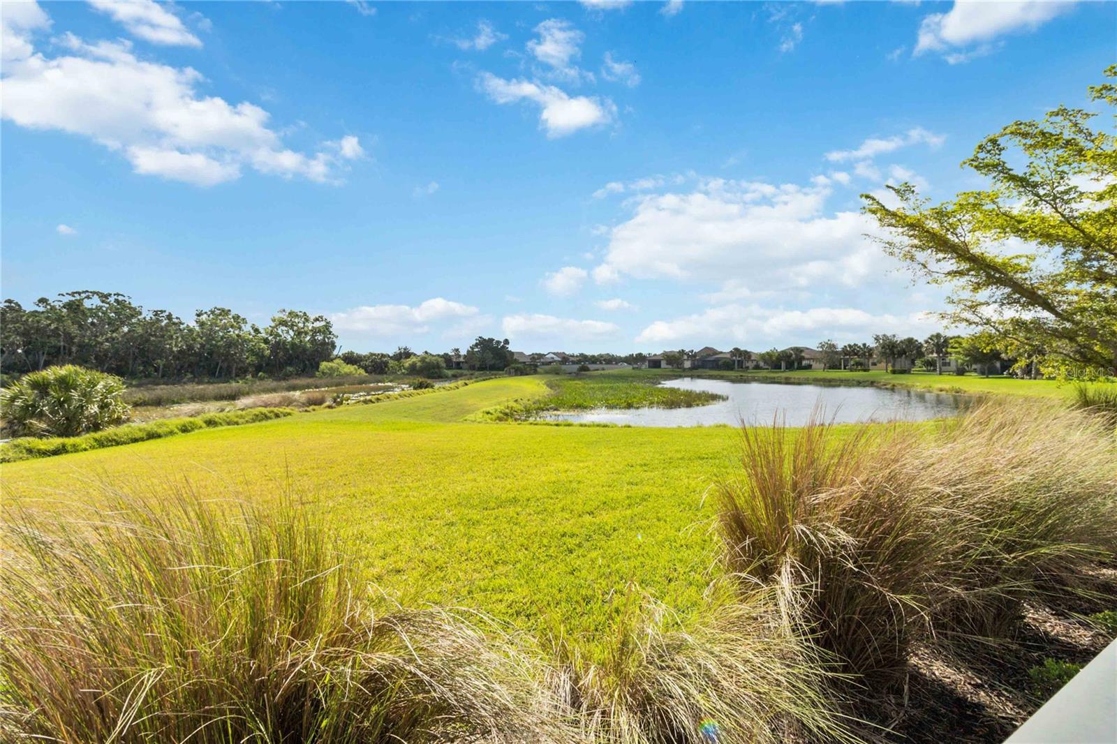 5942 CASPIAN TERN DR