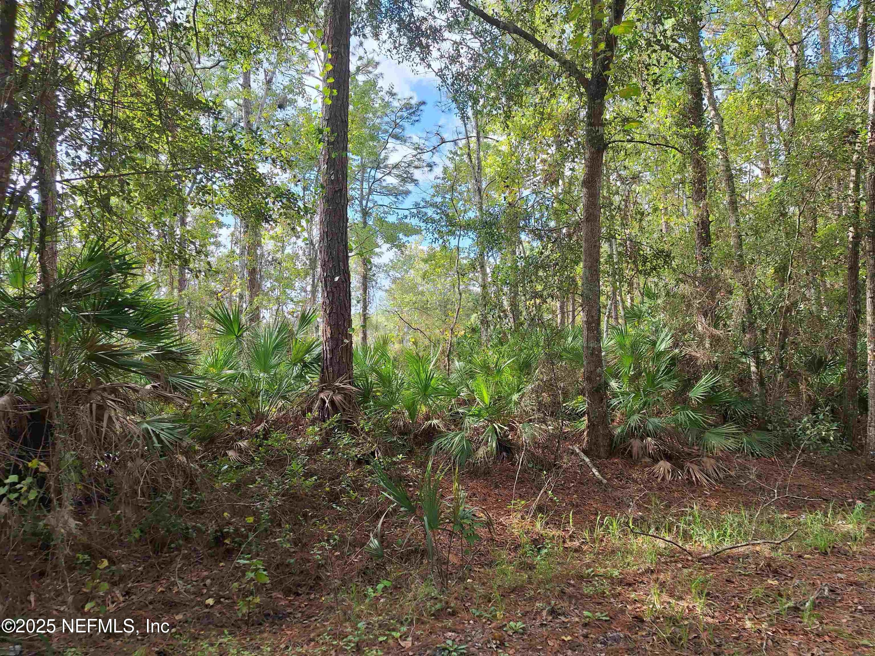 201 PINEWAY WEST Avenue