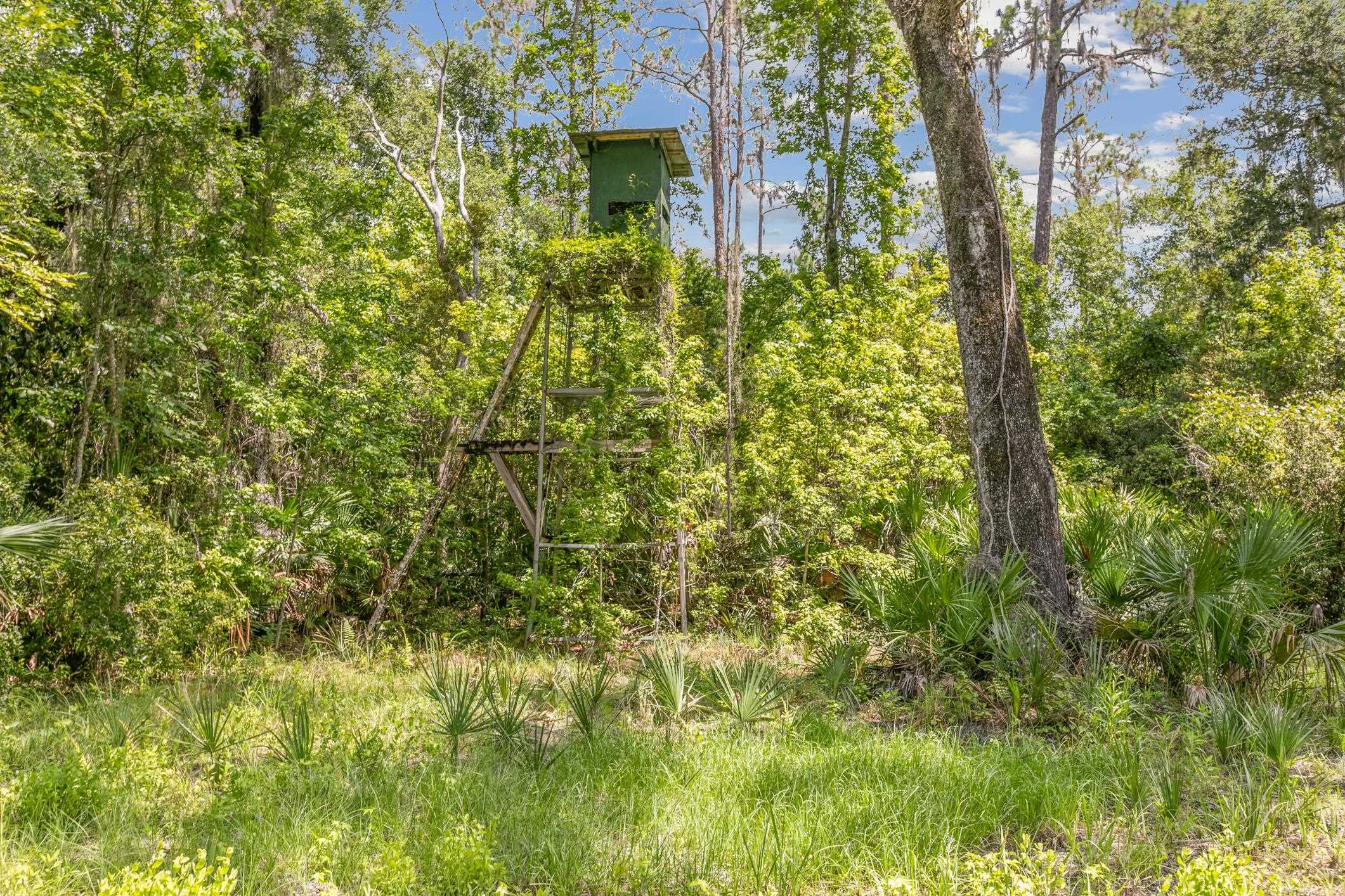 601 Harris Fish Camp Rd