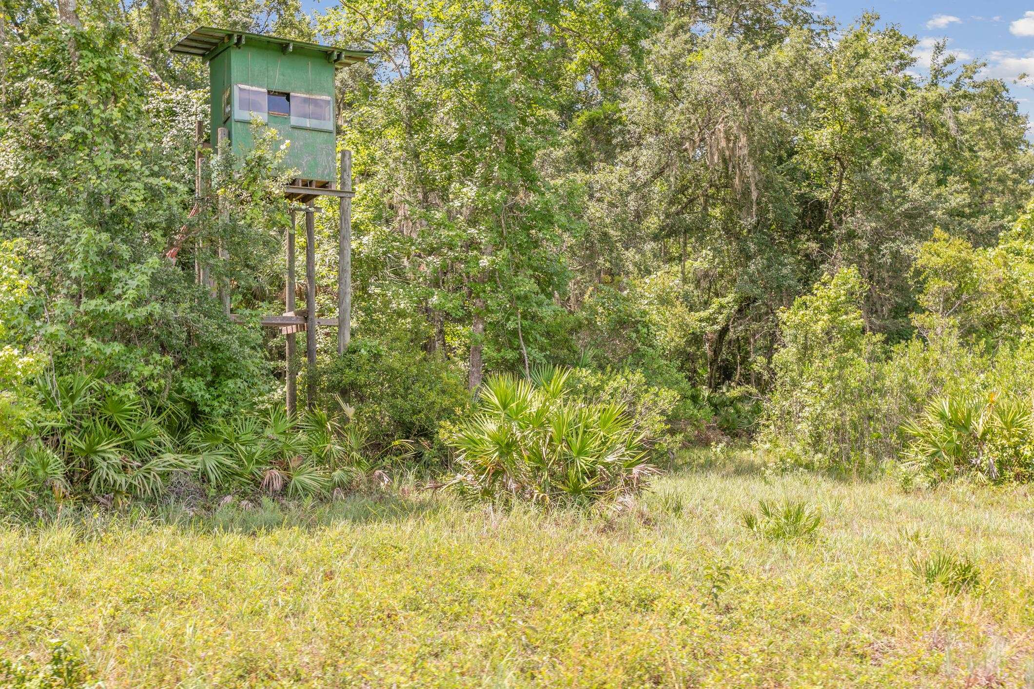 601 Harris Fish Camp Rd