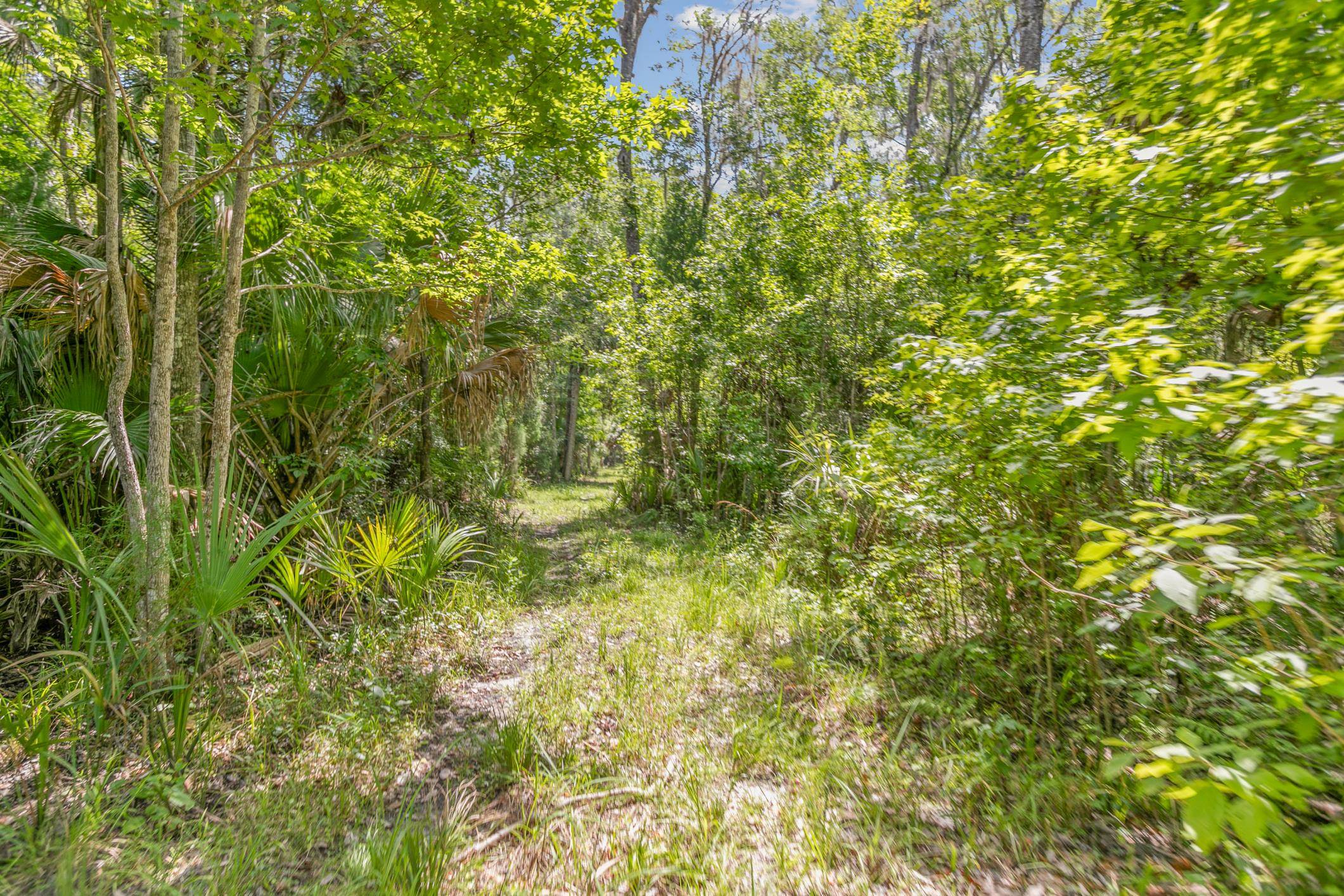 601 Harris Fish Camp Rd