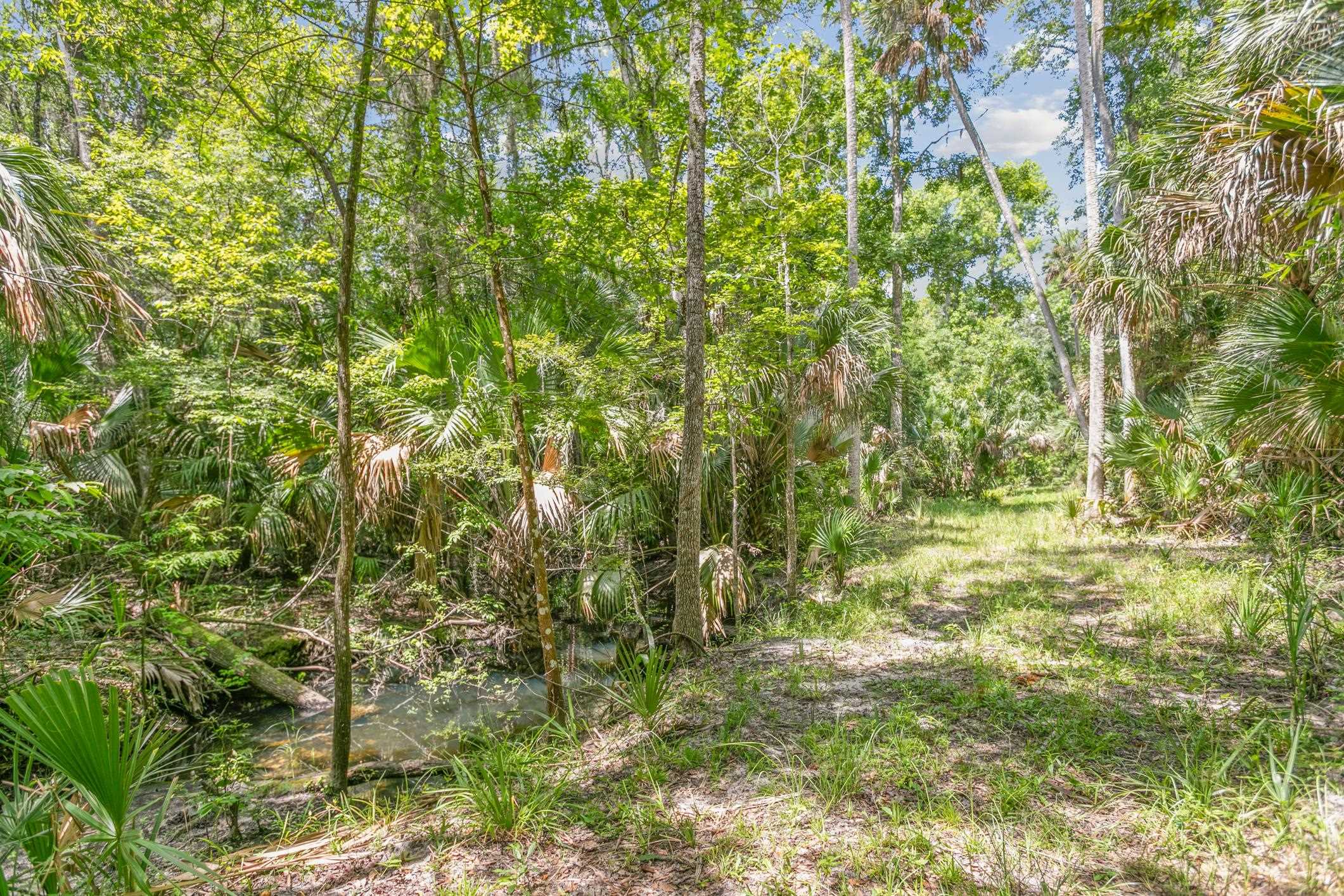 601 Harris Fish Camp Rd