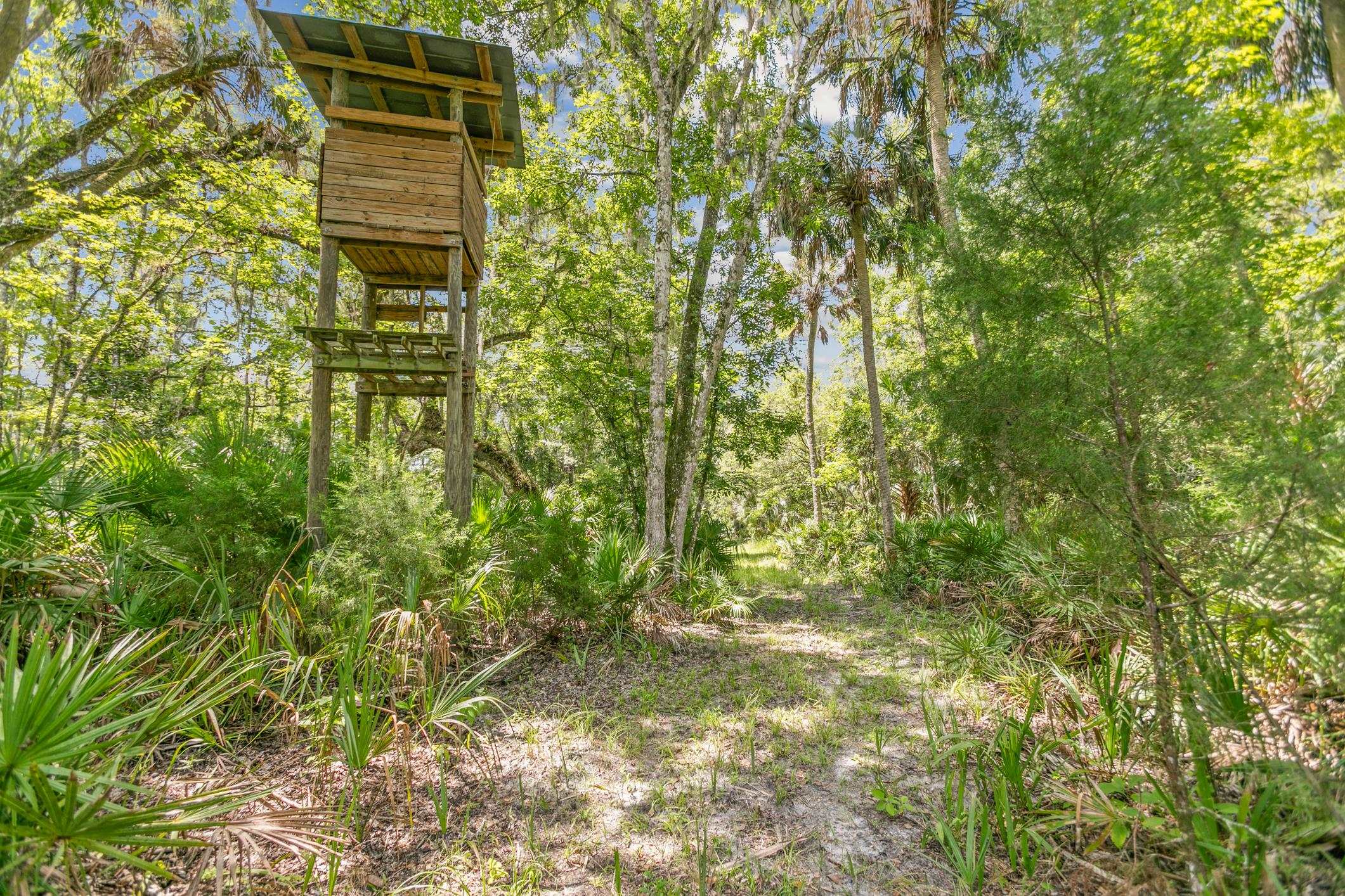601 Harris Fish Camp Rd