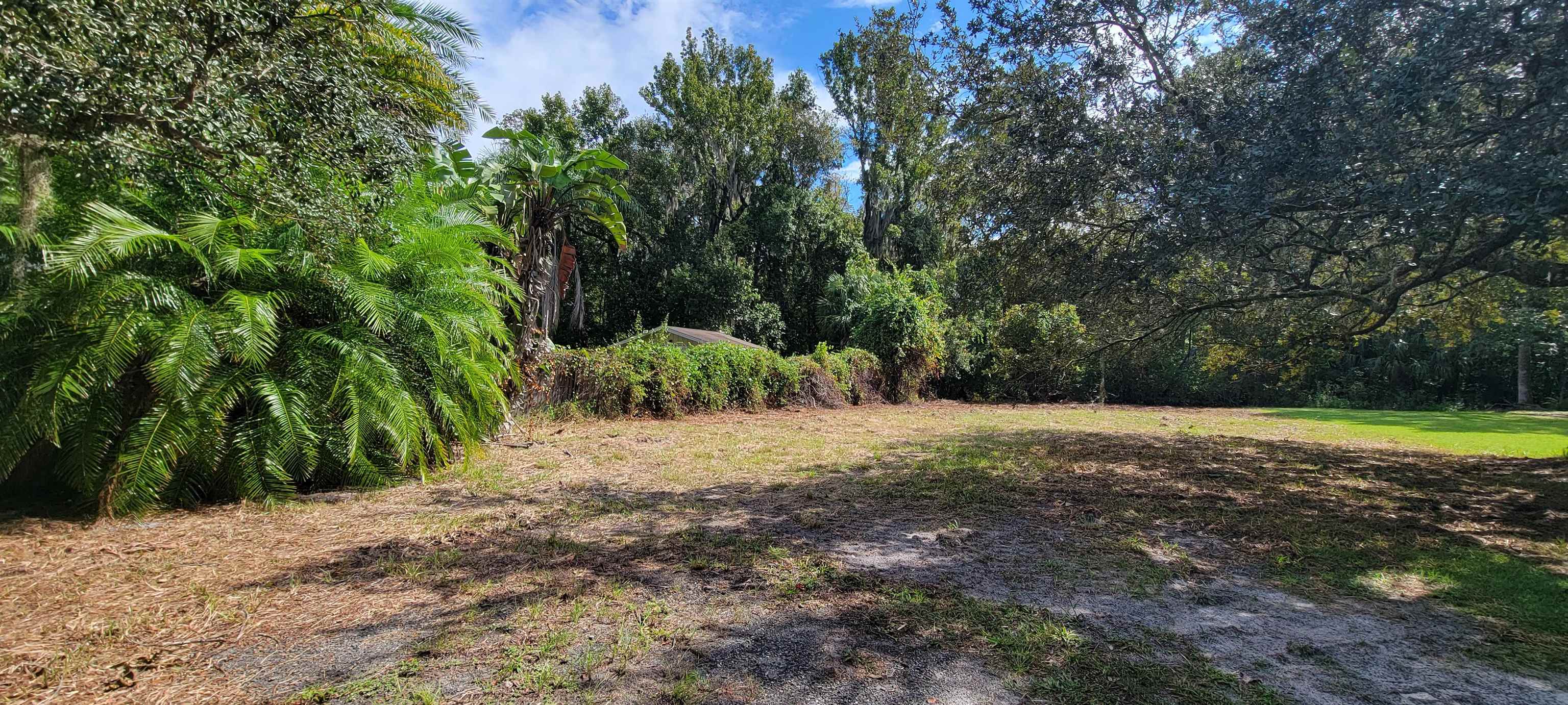 102 Orange Tree Road