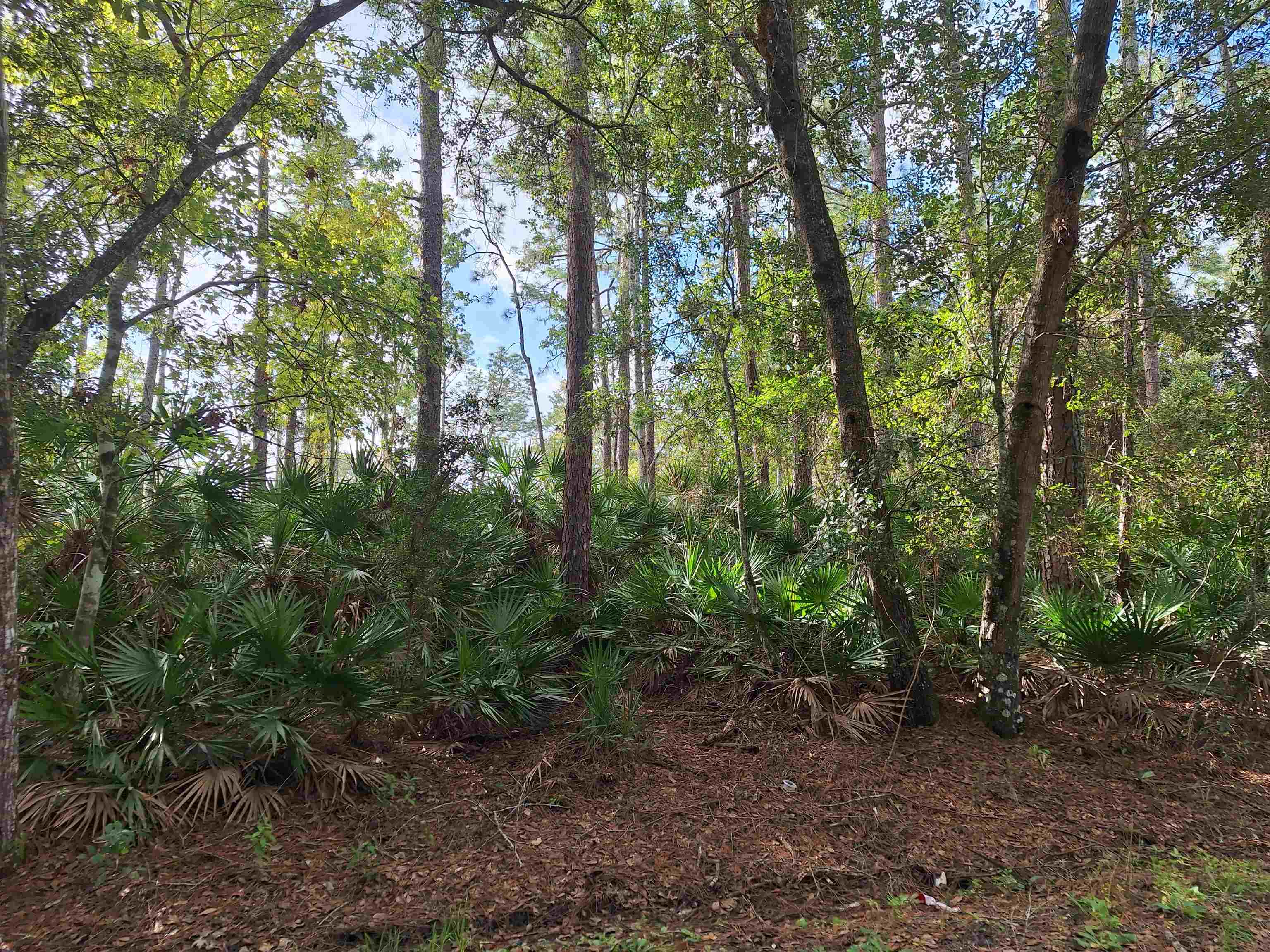 201 Pineway West Ave