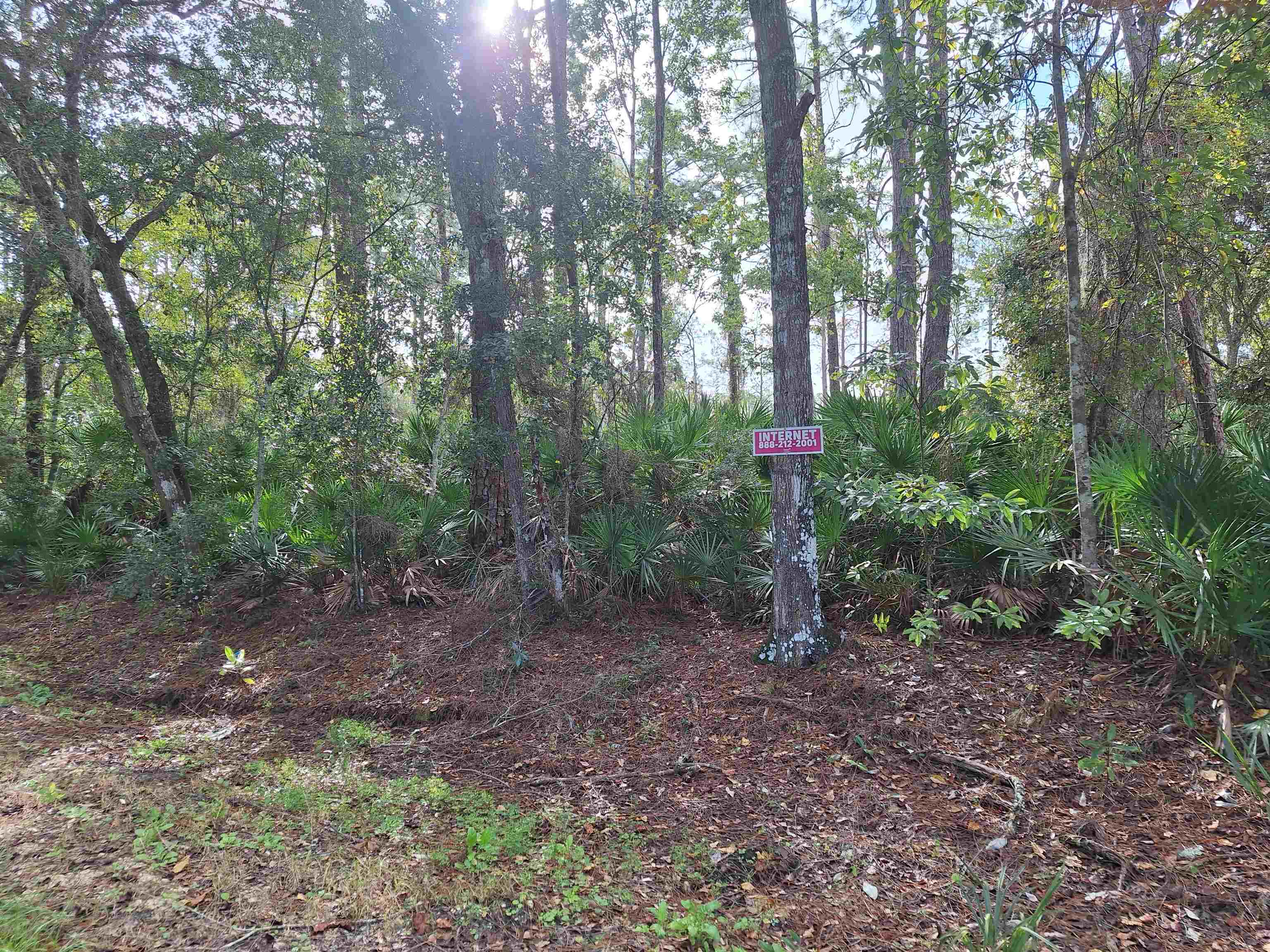 201 Pineway West Ave