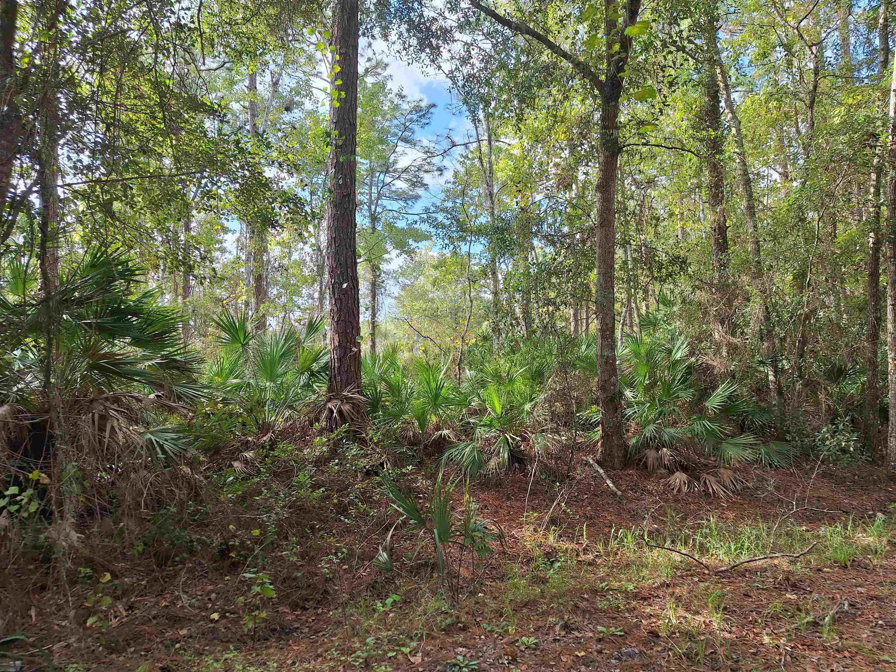 201 Pineway West Ave