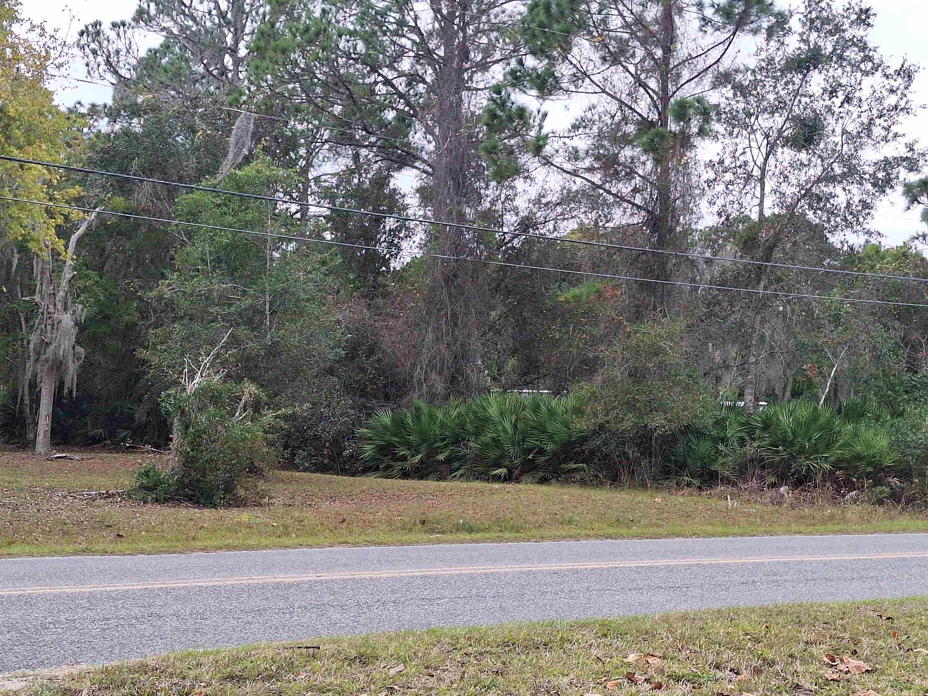 203 Crescent Lake Shore Dr