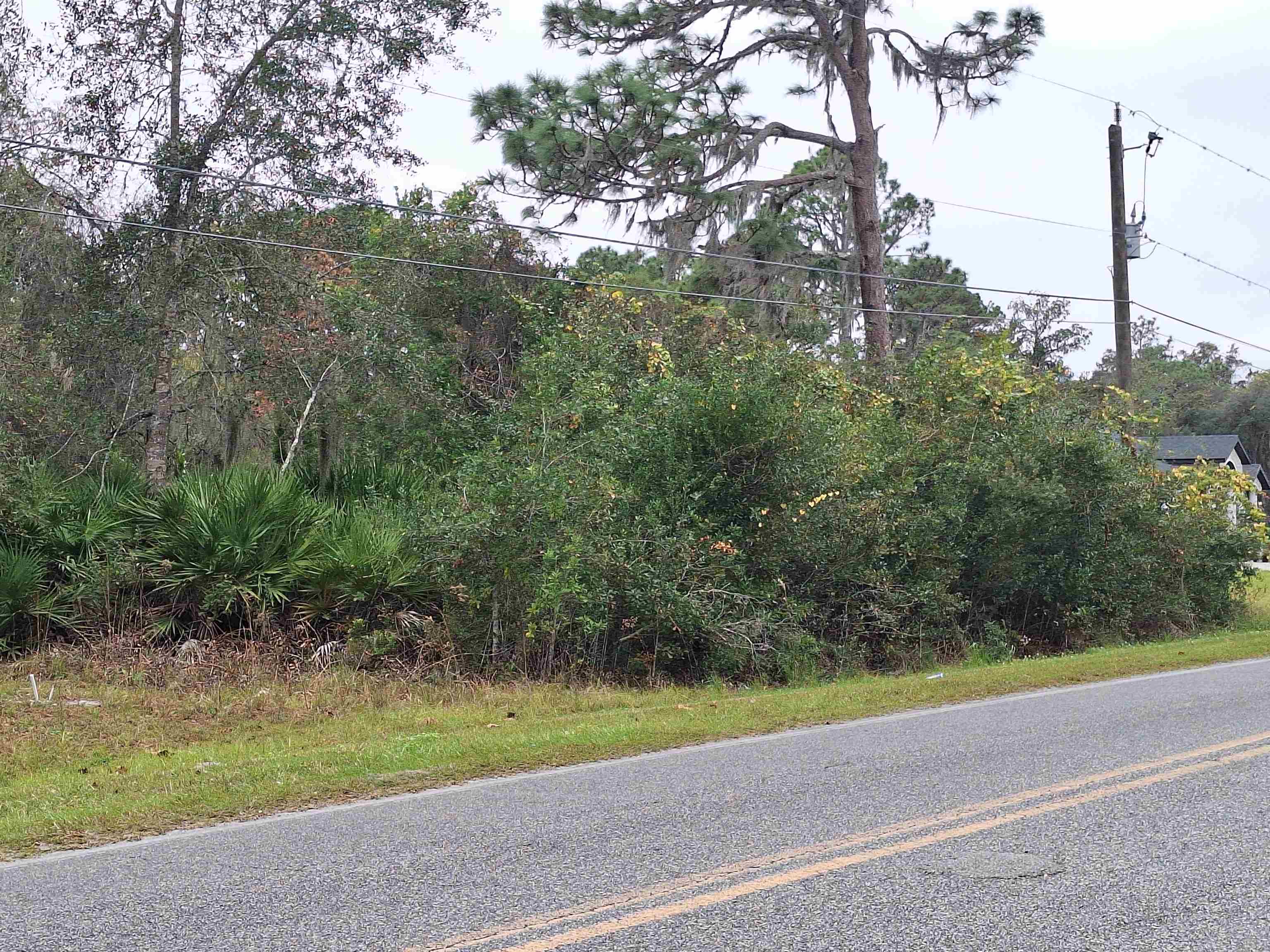 203 Crescent Lake Shore Dr