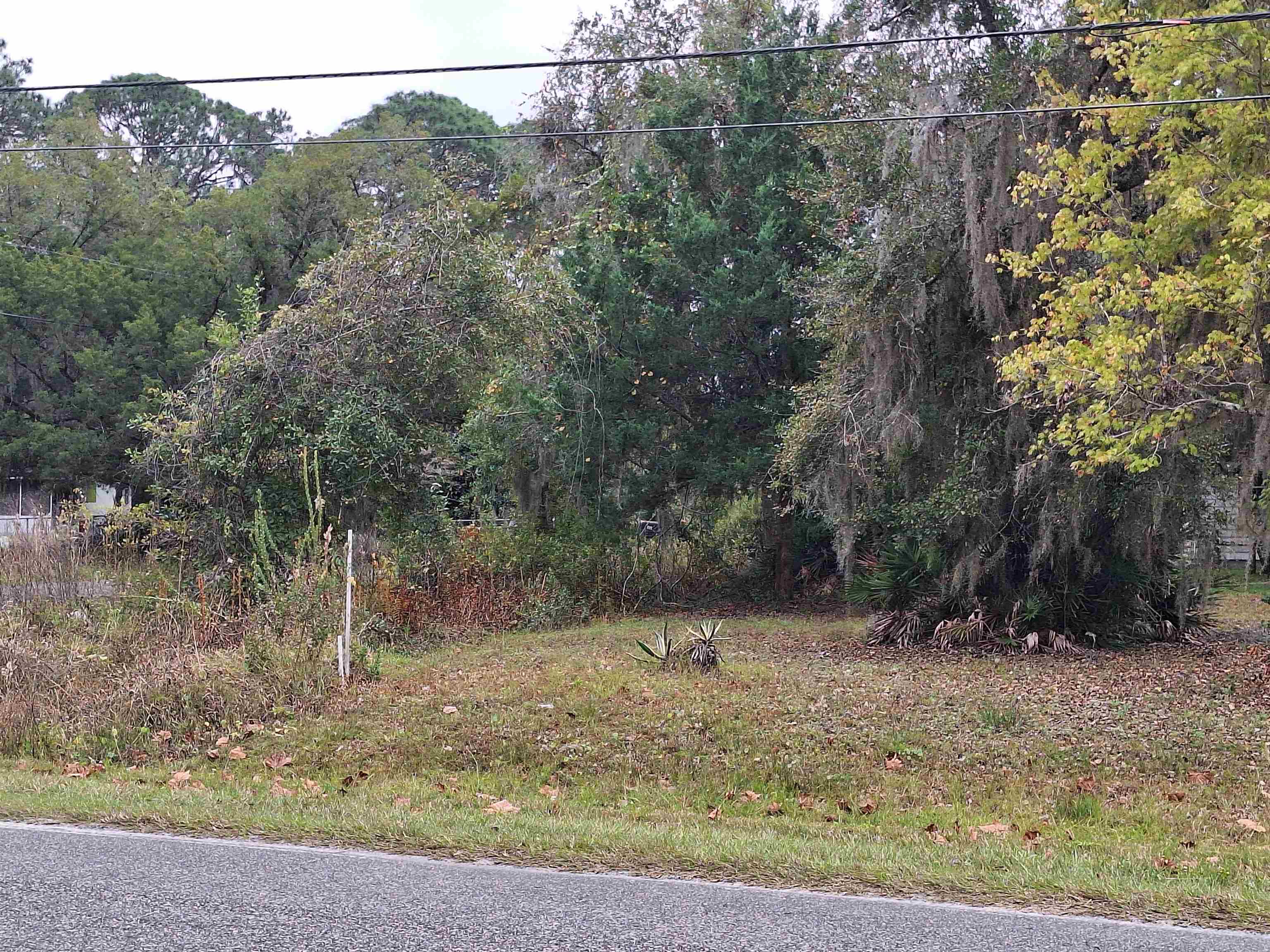 203 Crescent Lake Shore Dr