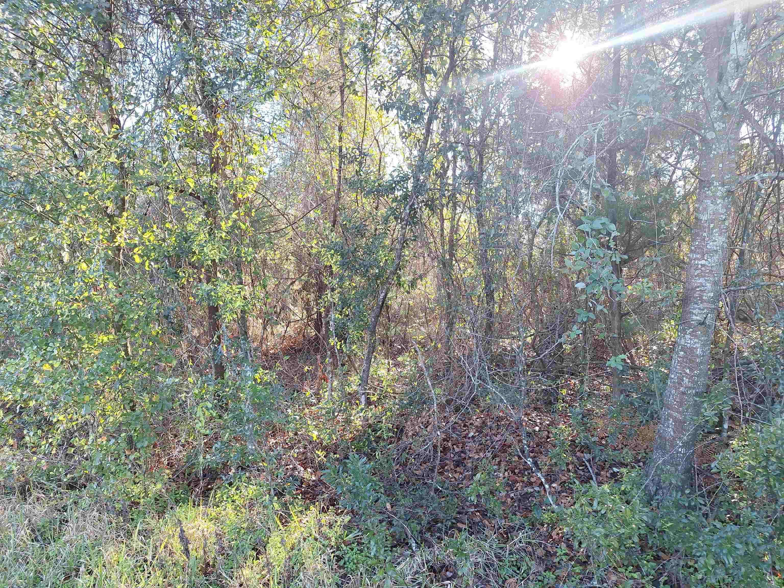 1075 S State Rd Unit: 19