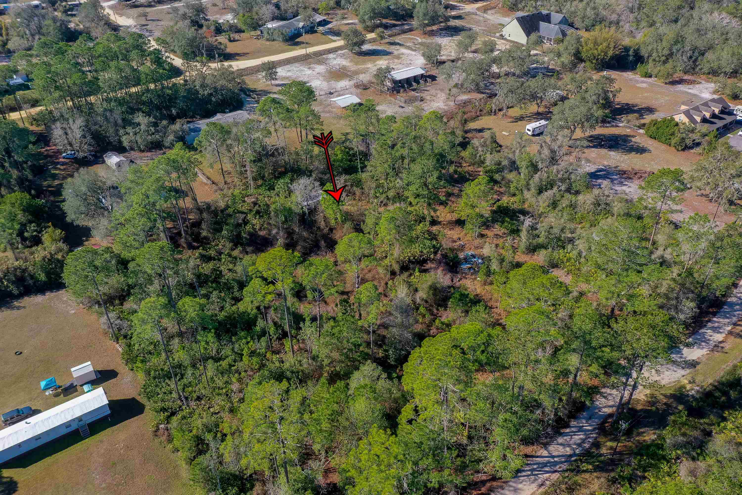 33150 Forest Ridge Rd