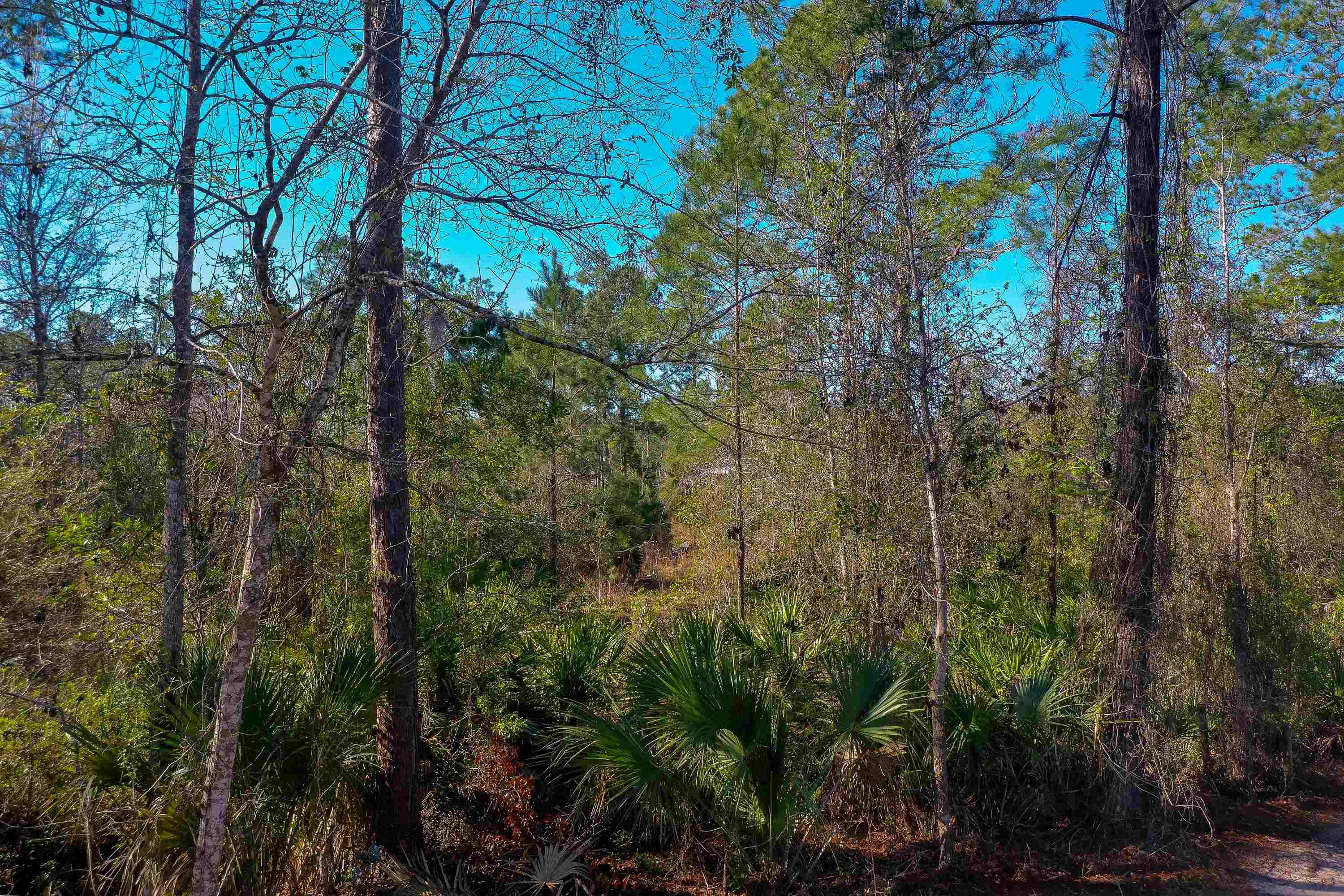 33150 Forest Ridge Rd