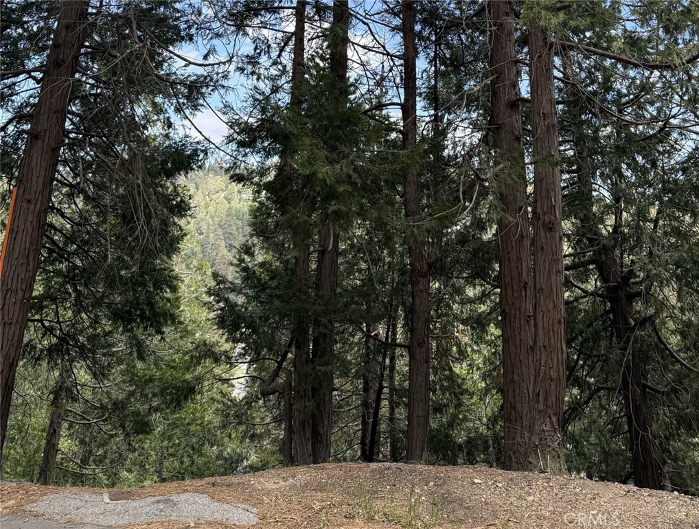 0 Alpine Court
