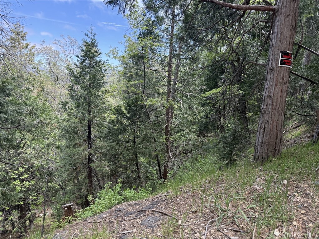 0 Alpine Court