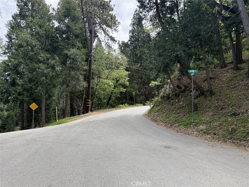 0 Alpine Court