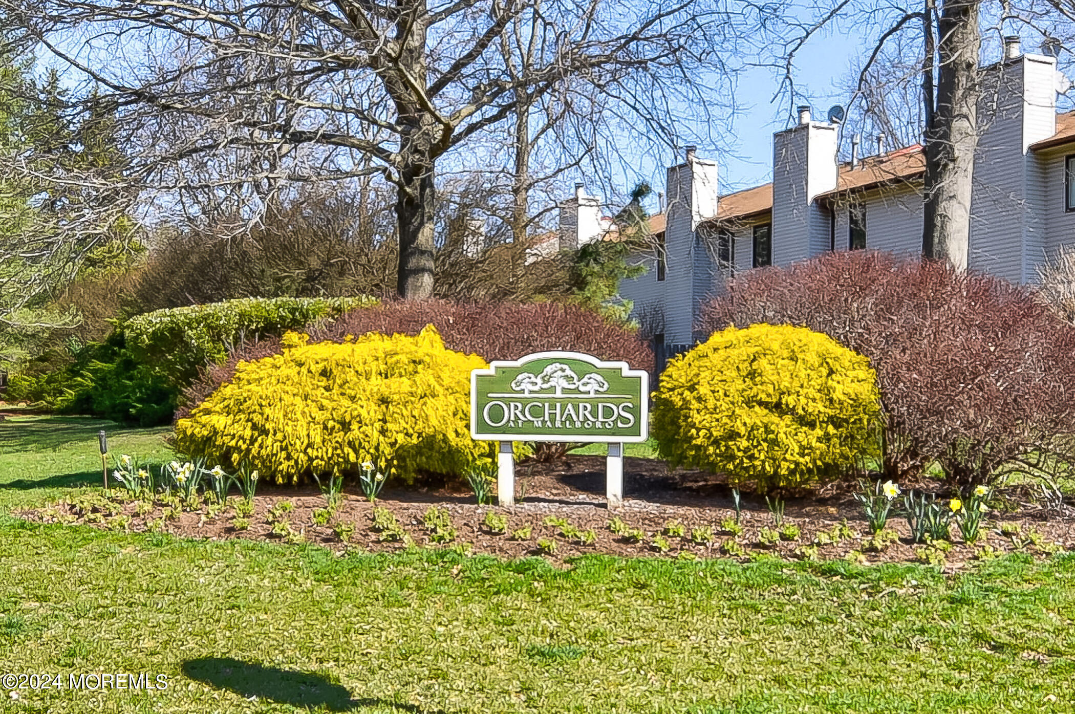24 Orange Drive