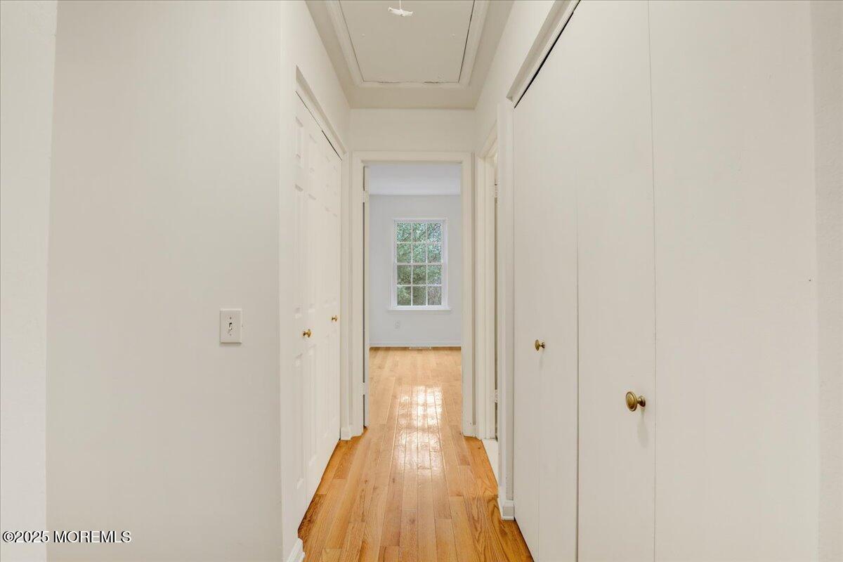 50 Renee Court