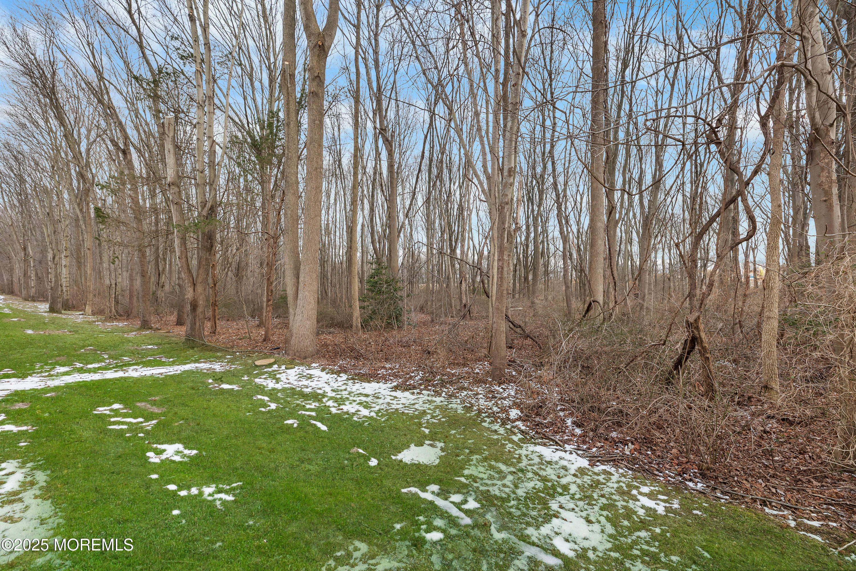 33 Whitemarsh Drive