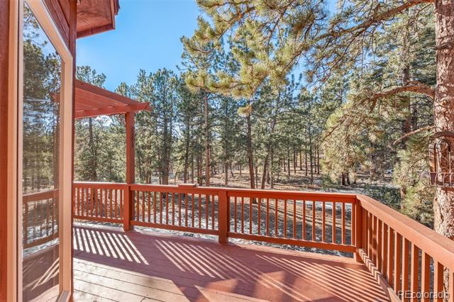 349 Gunsmoke Drive