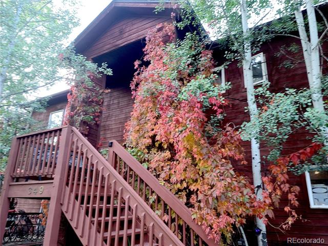 349 Gunsmoke Drive