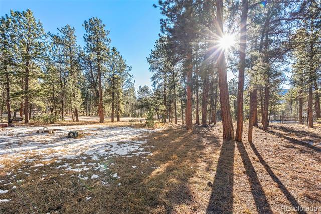 349 Gunsmoke Drive