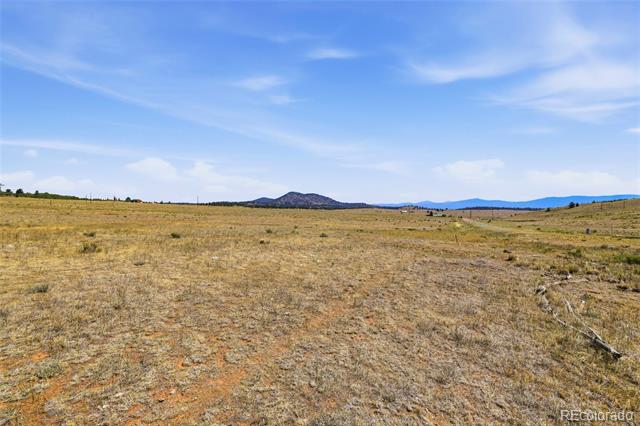 Open dry grassland parcel with sparse brush, a dirt track, and distant low mountains.