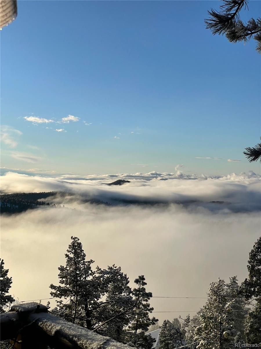 31327 Kings Valley Custom W