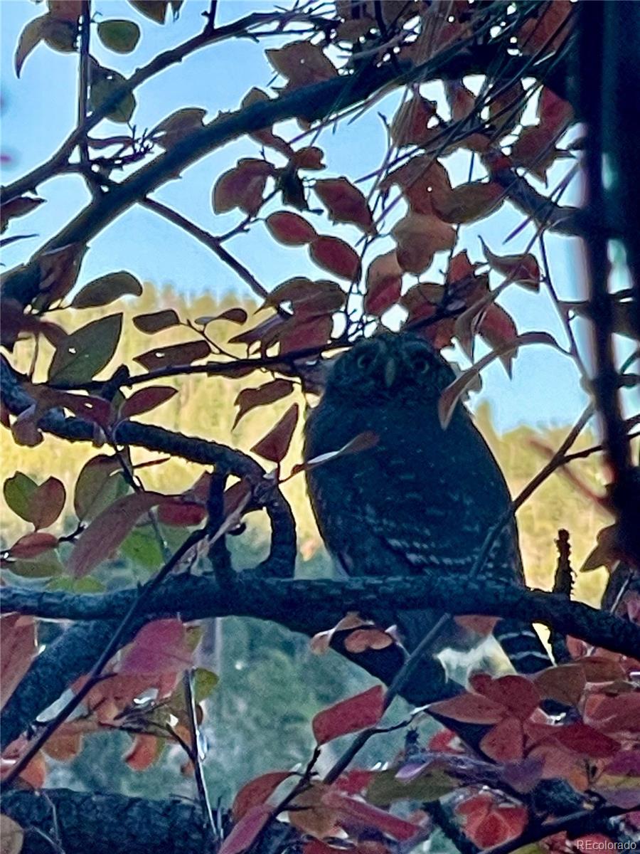 31327 Kings Valley Custom W