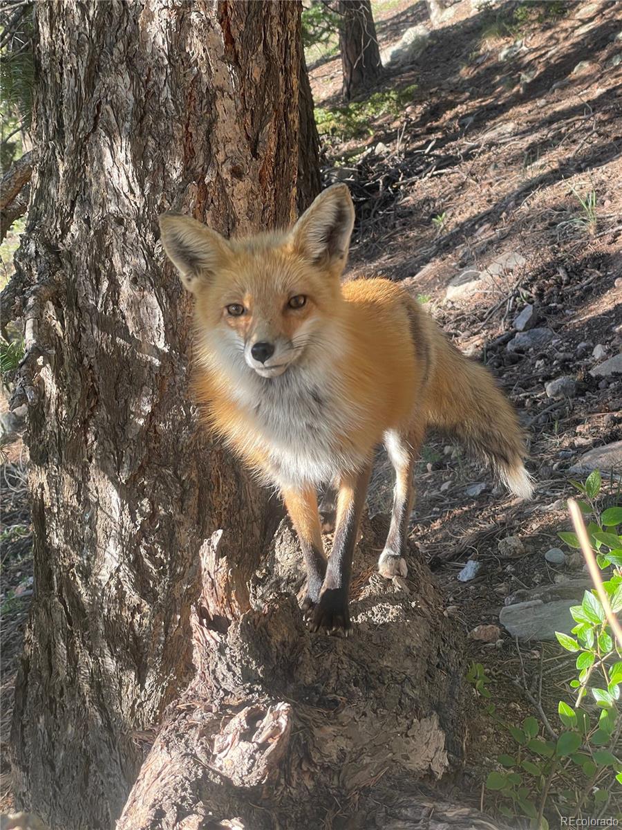 31327 Kings Valley Custom W