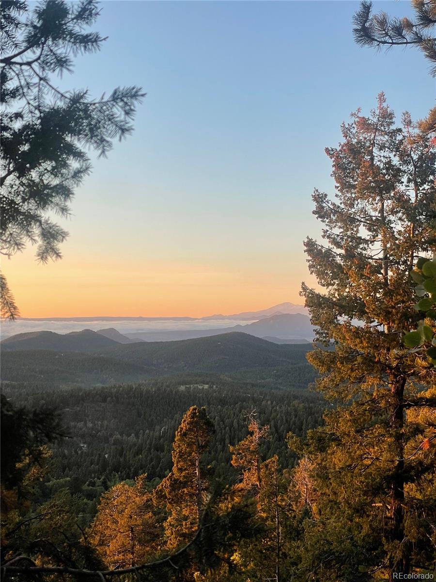 31327 Kings Valley Custom W