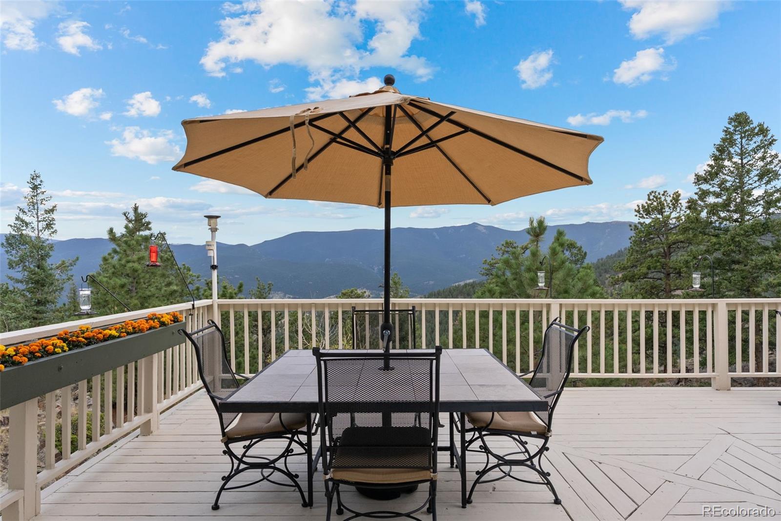 220 Ravenswood Court