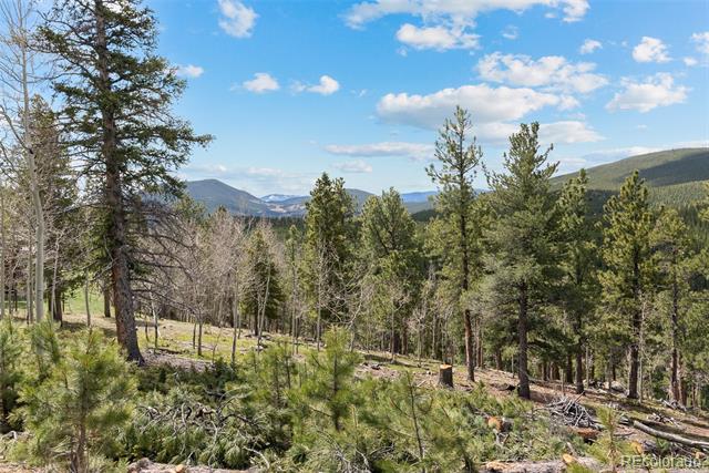 1364 Royal Ridge Drive