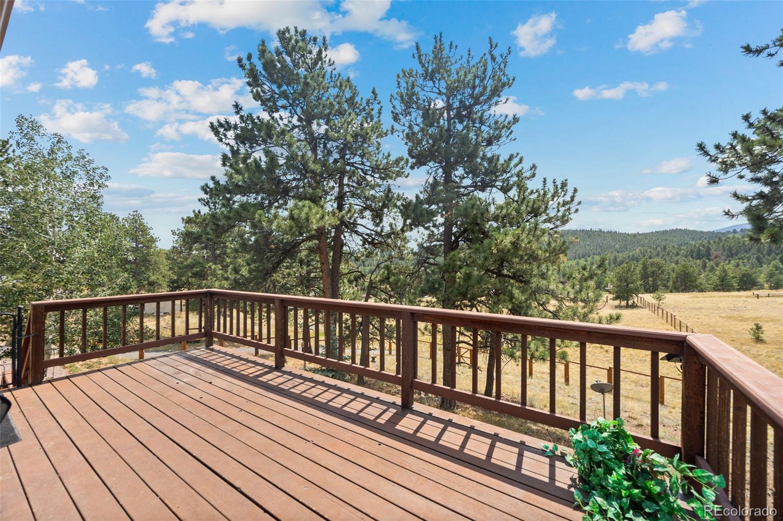 924 Bluebird Drive