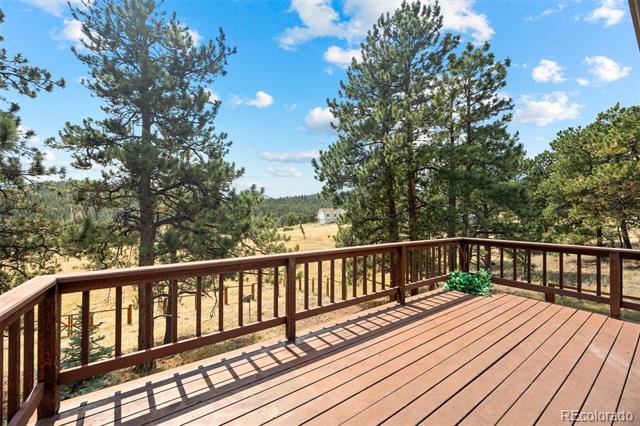 924 Bluebird Drive
