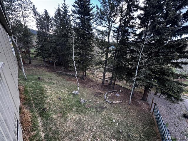 Wooded backyard with a grassy lawn, small fire pit area, and gravel driveway.