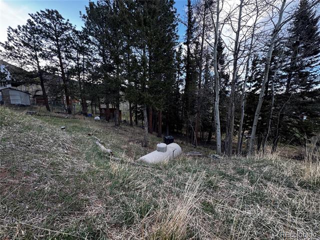 Sloping grassy lot with a white septic tank among evergreen and leafless trees.