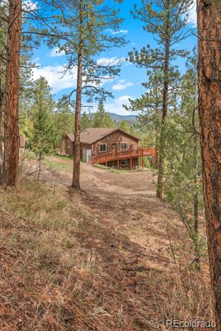 181 Catamount Ridge Road
