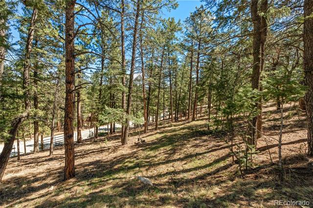 20 Long Ridge Drive