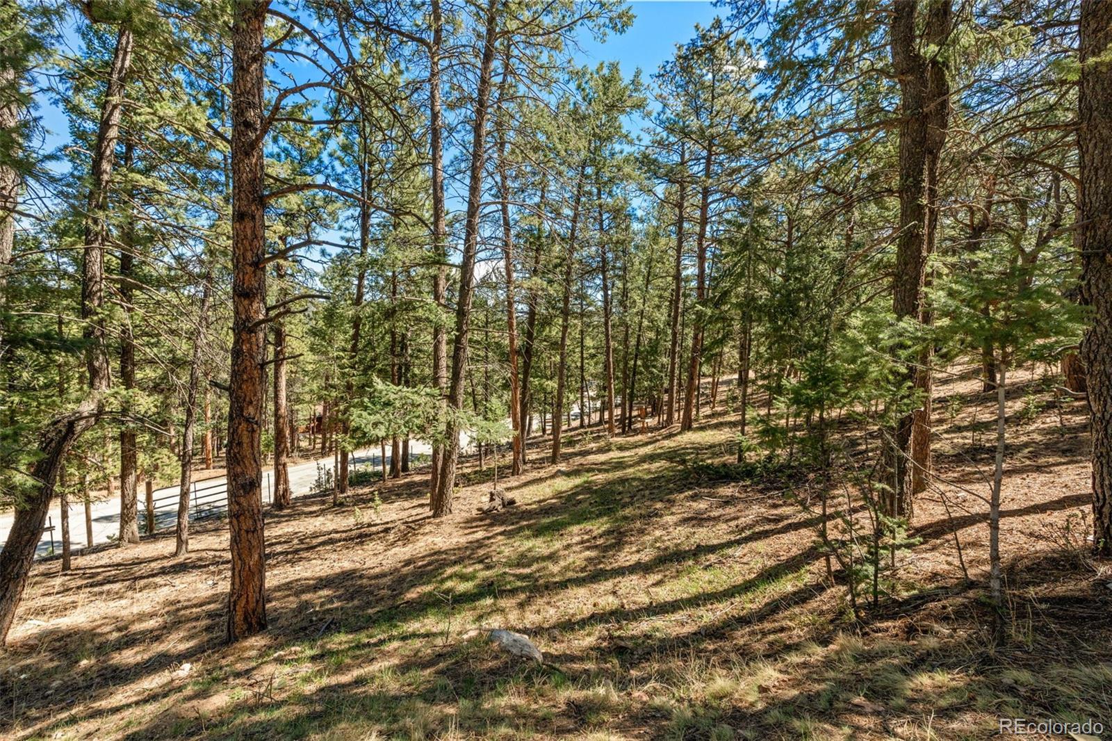 20 Long Ridge Drive
