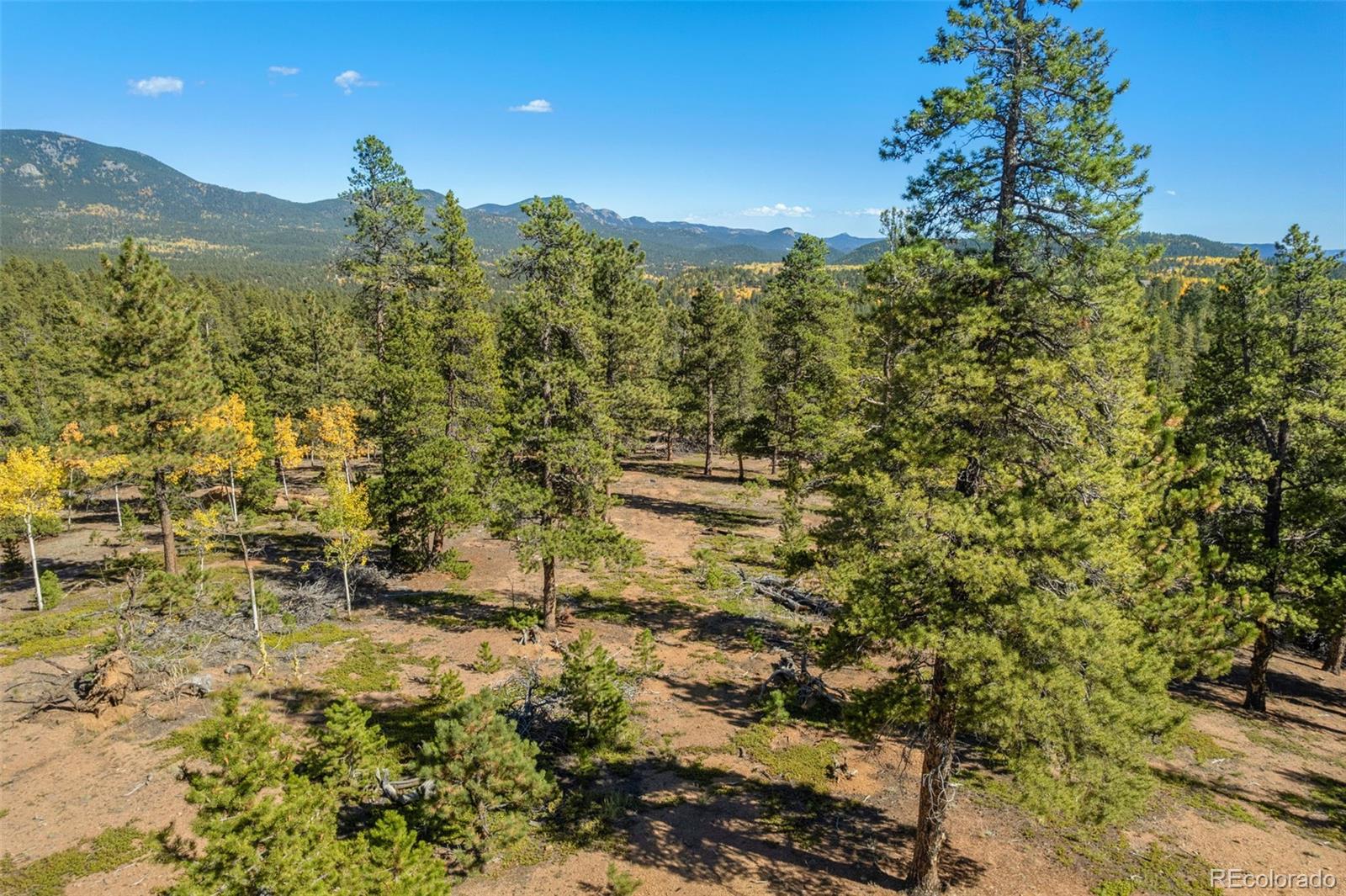 1001 Royal Ridge Drive