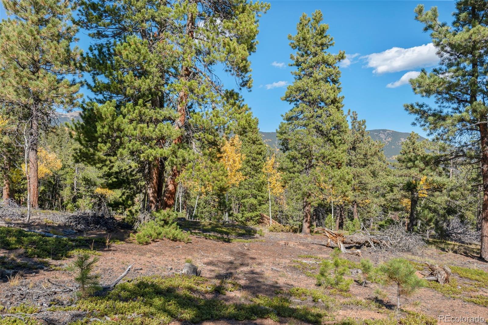 1001 Royal Ridge Drive