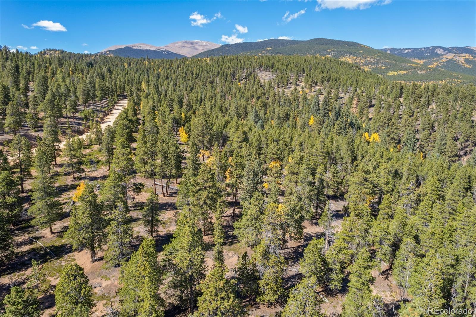 1001 Royal Ridge Drive