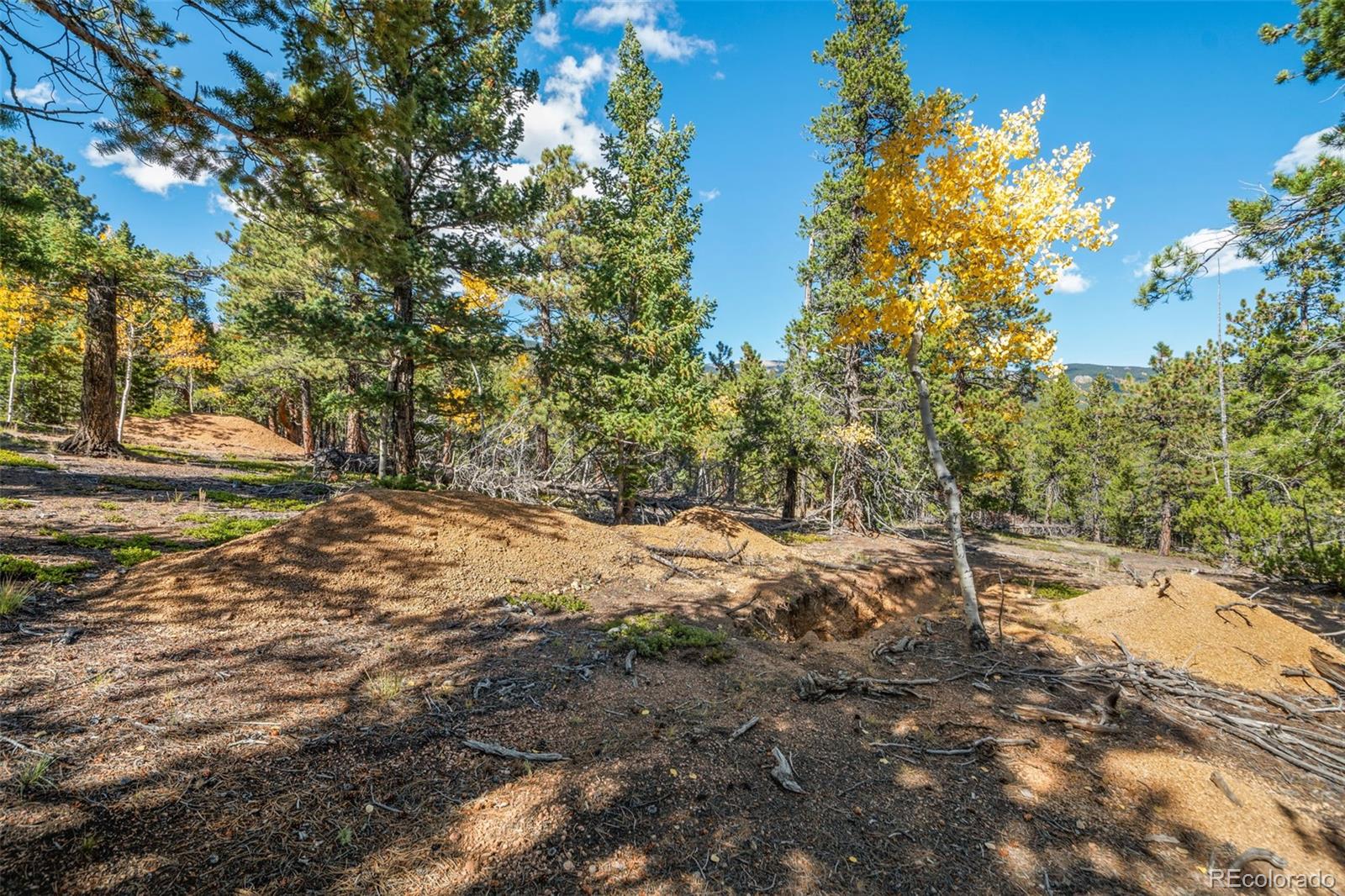 1001 Royal Ridge Drive