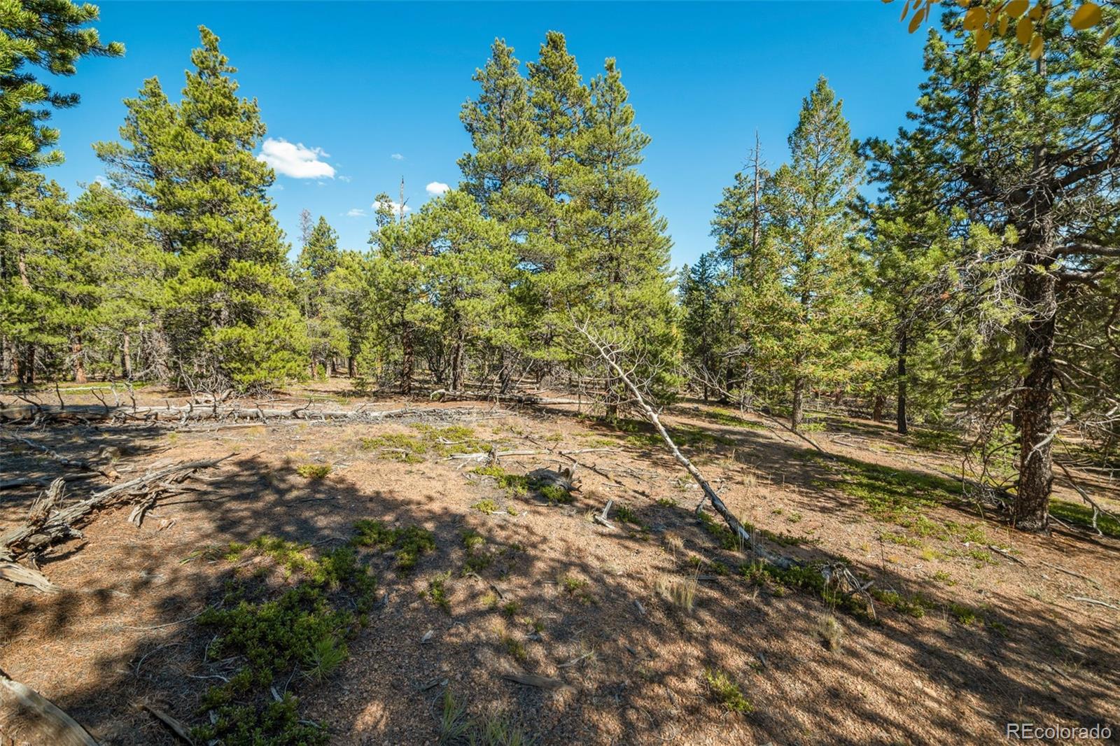 1001 Royal Ridge Drive