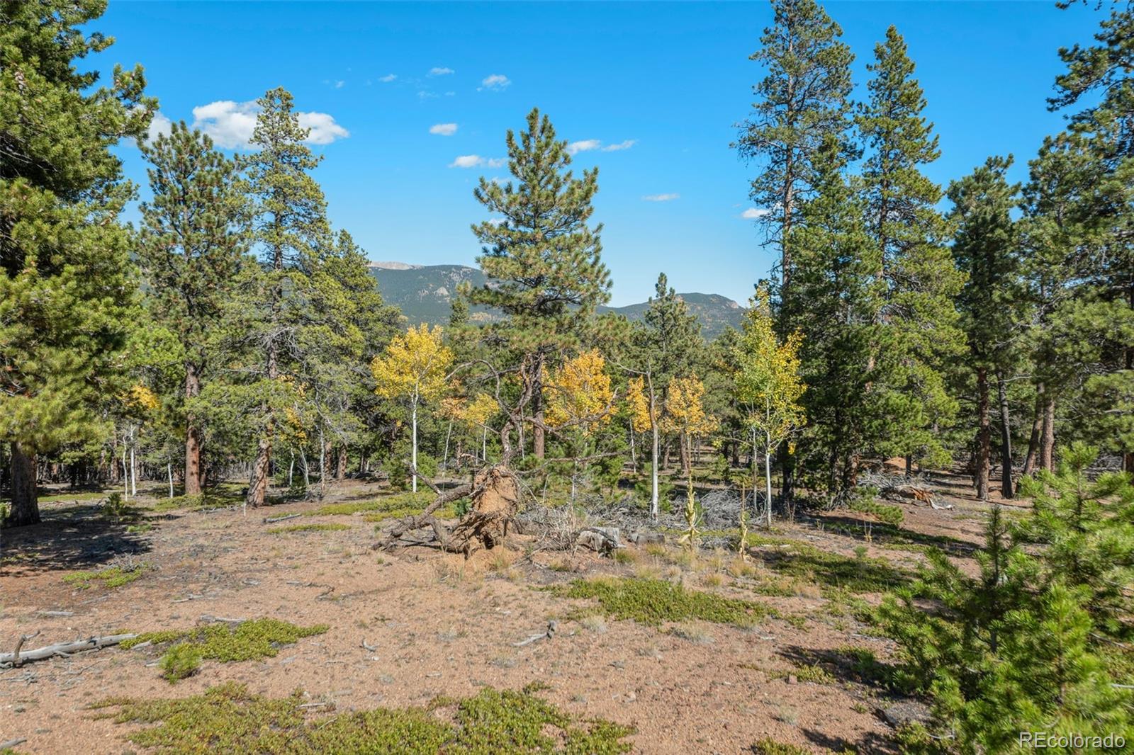 1001 Royal Ridge Drive