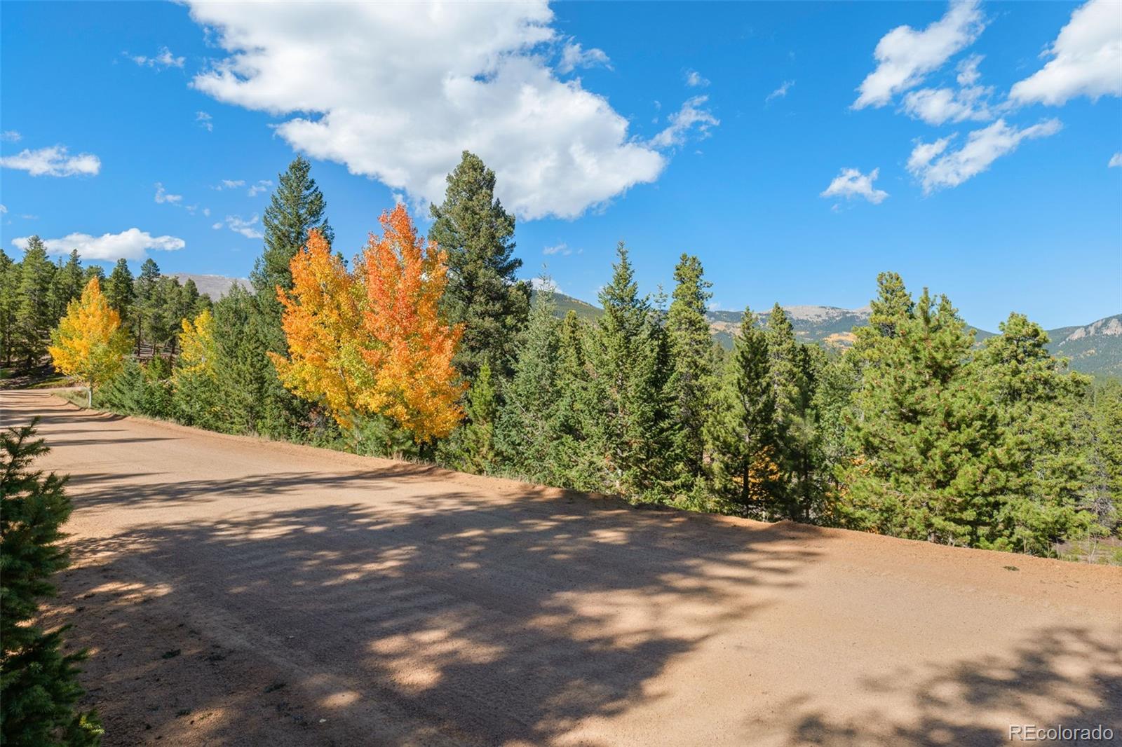 1001 Royal Ridge Drive